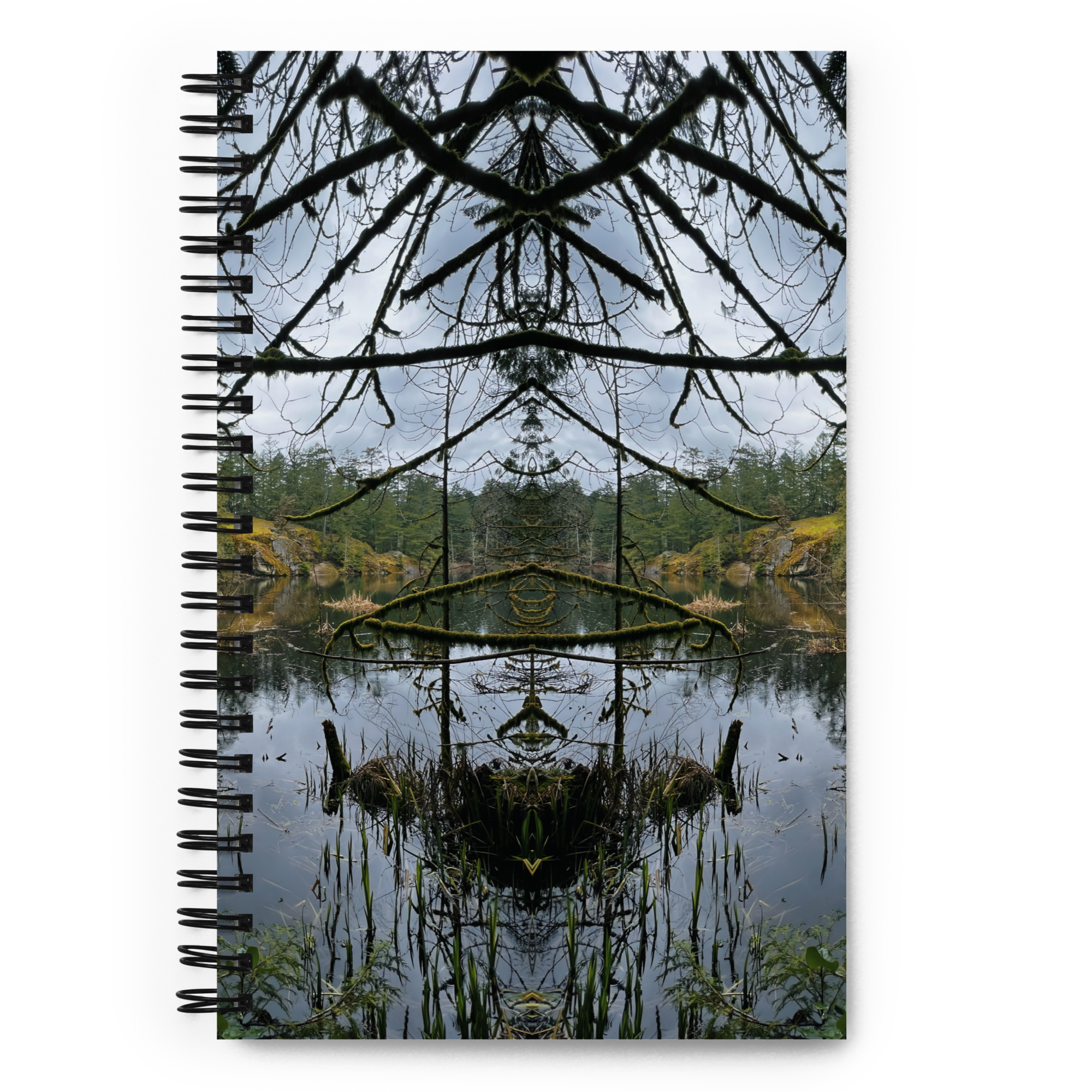 All seeing portal notebook